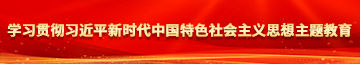 火影忍者操逼网站学习贯彻习近平新时代中国特色社会主义思想主题教育